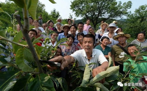 纪念改革开放40周年系列报道之新农村 日新月异连年丰