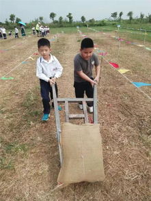 与秋天相拥,和快乐同行 记小学部斗门 花田水乡 研学之旅